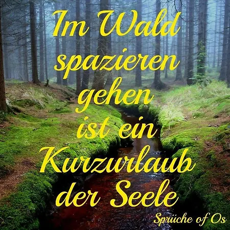 Das Haus Am Wald Ferien- & Apartmenthaus