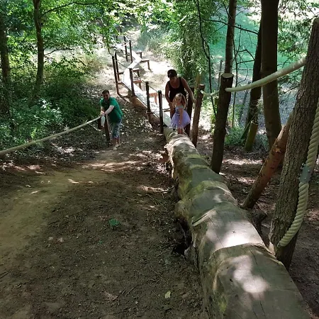 Das Haus Am Wald Ferien- & Apartmenthaus Rotenburg an der Fulda